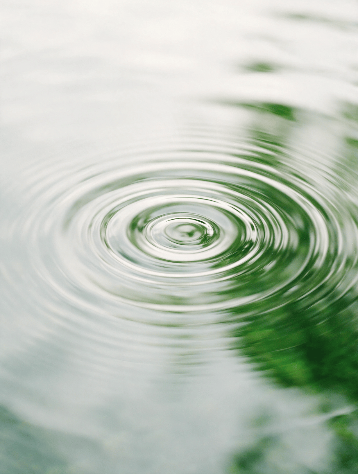 Concentric ripples on still water
