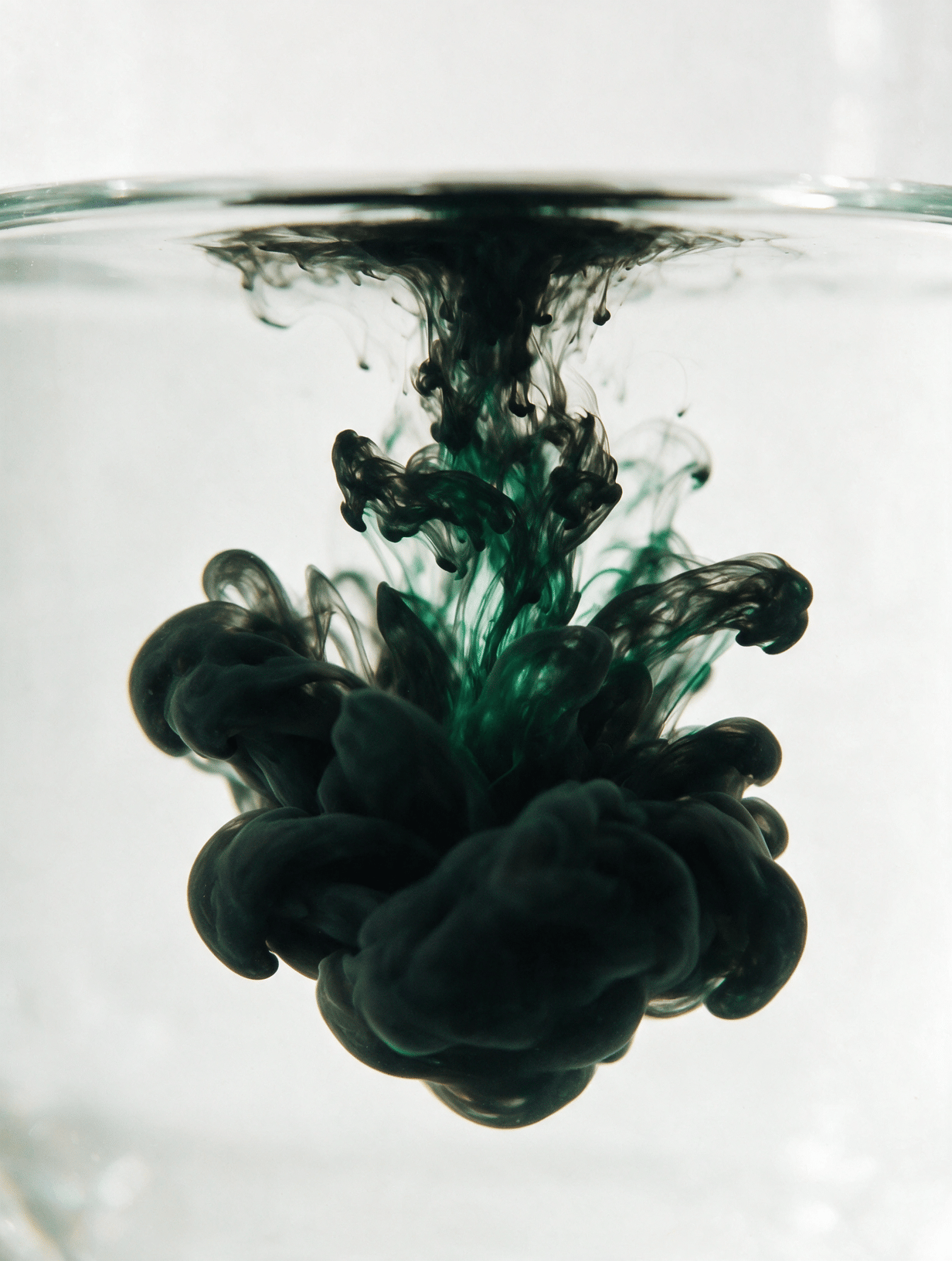 Black ink dissolving in clear water