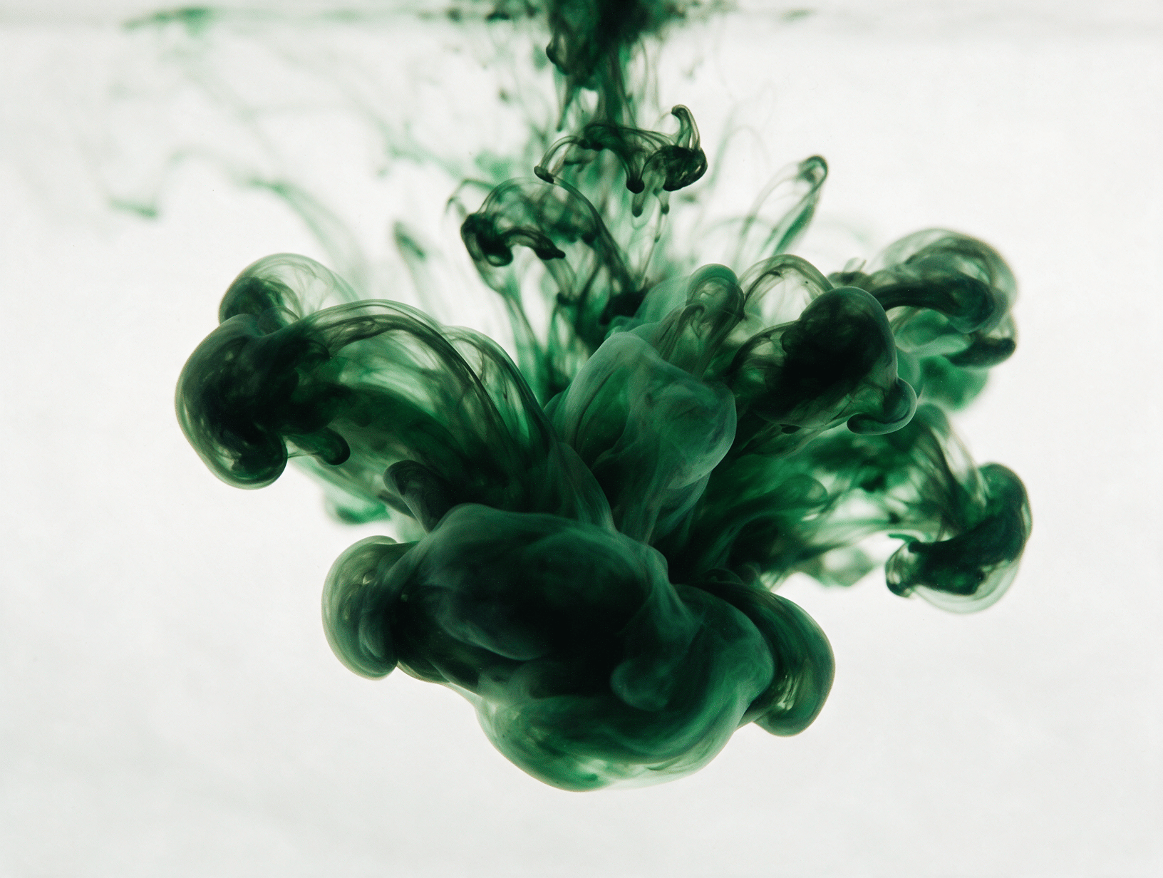 Black and green ink swirls spreading in water